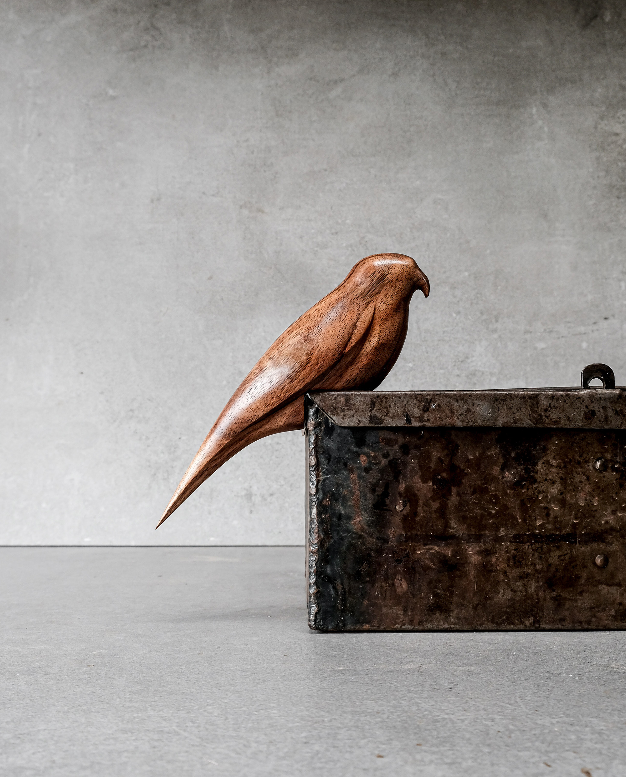 Wooden carved kea sculpture